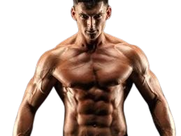 resized_image_2-removebg-preview