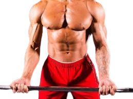 resized_image_3-removebg-preview