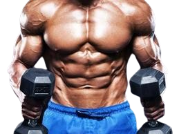 resized_image_4-removebg-preview